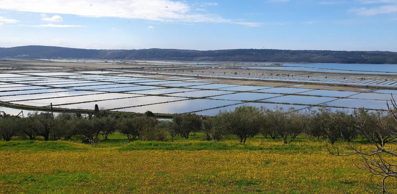 דירות בפורטורוז Cypress Garden מראה חיצוני תמונה