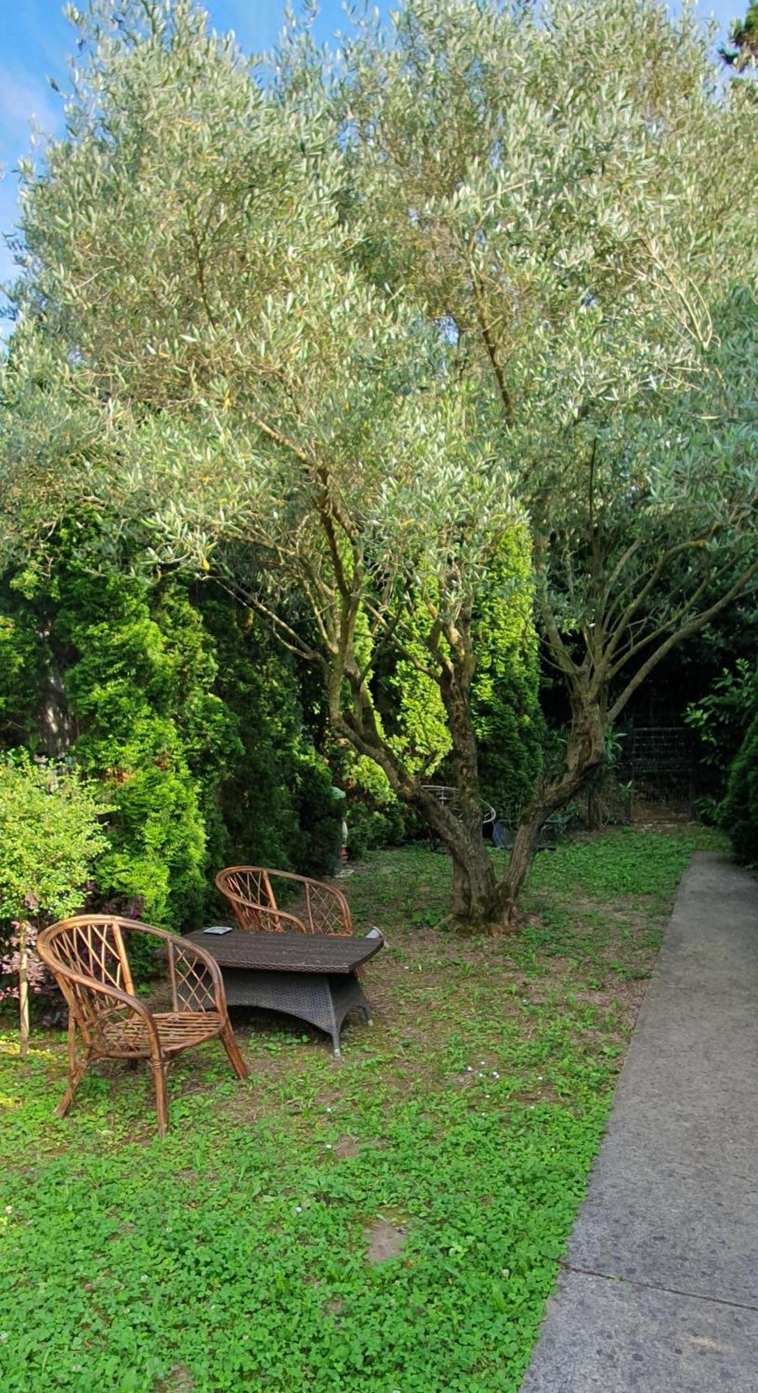 דירות בפורטורוז Cypress Garden מראה חיצוני תמונה